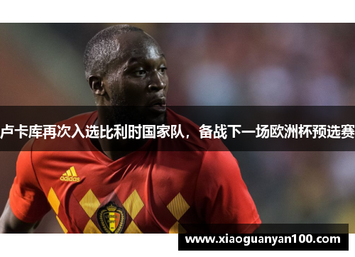 卢卡库再次入选比利时国家队，备战下一场欧洲杯预选赛